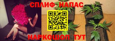 гидропоника Лесосибирск
